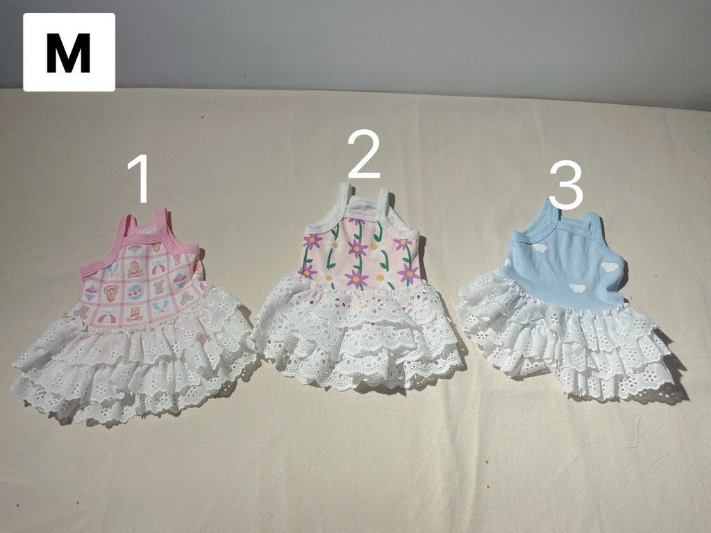 LINE_ALBUM_三層布蕾絲（長版）_231028_2