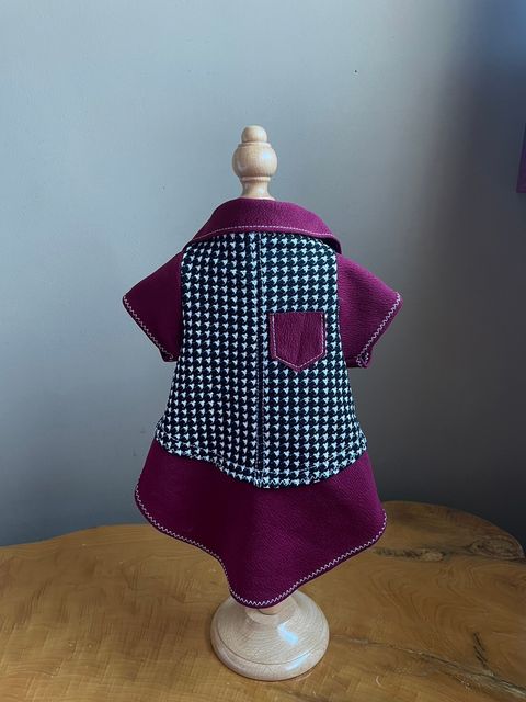 LINE_ALBUM_2023113 _1_231103_15