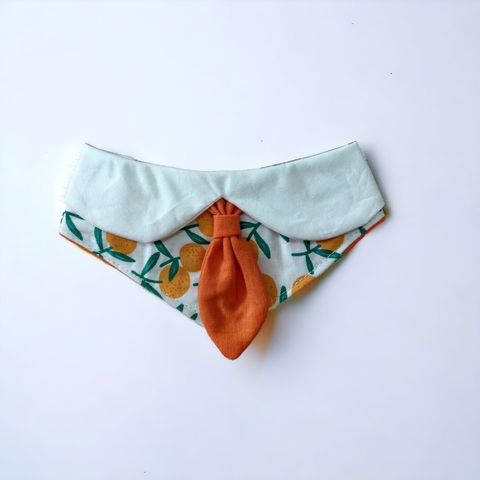 LINE_ALBUM_2023118_231108_27