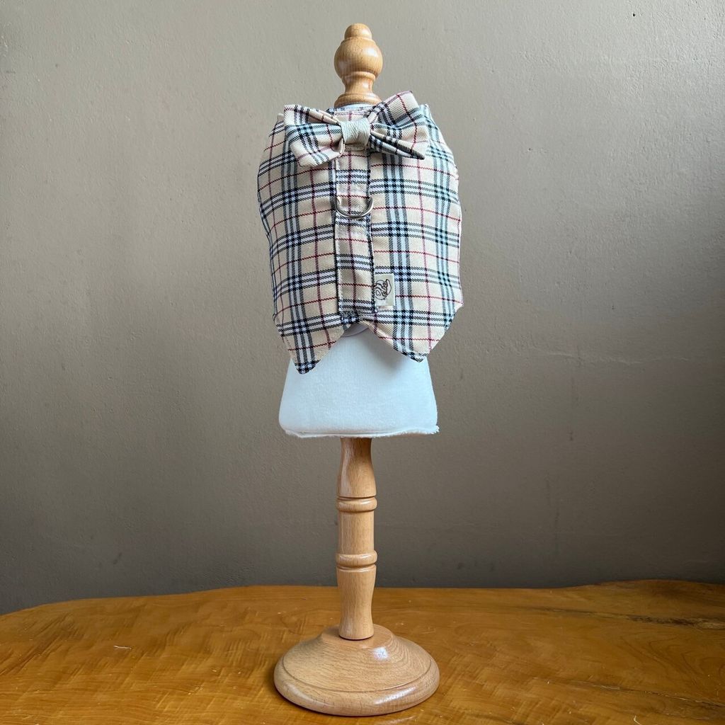 LINE_ALBUM_讀一讀二胸背_231113_32