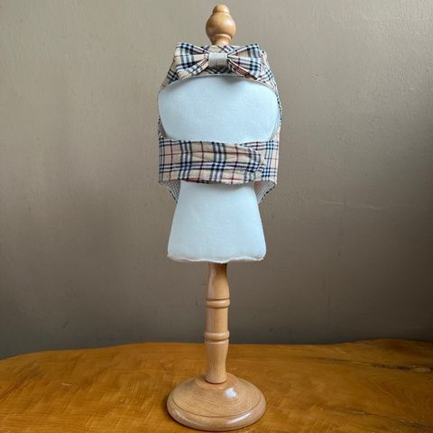 LINE_ALBUM_讀一讀二胸背_231113_31