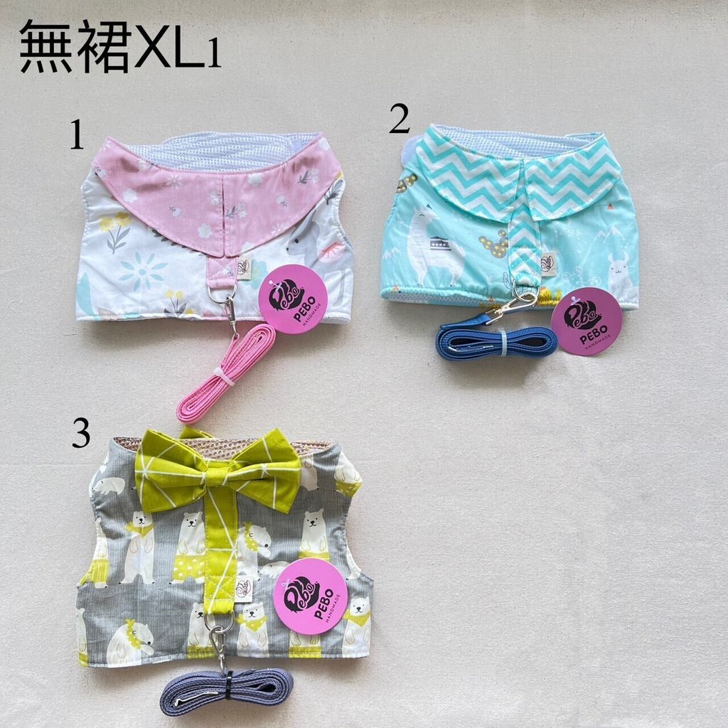 LINE_ALBUM_讀一讀二胸背_231113_8