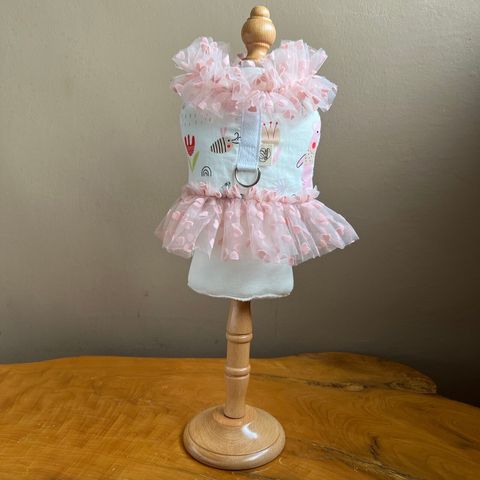 LINE_ALBUM_讀一讀二胸背_231113_34