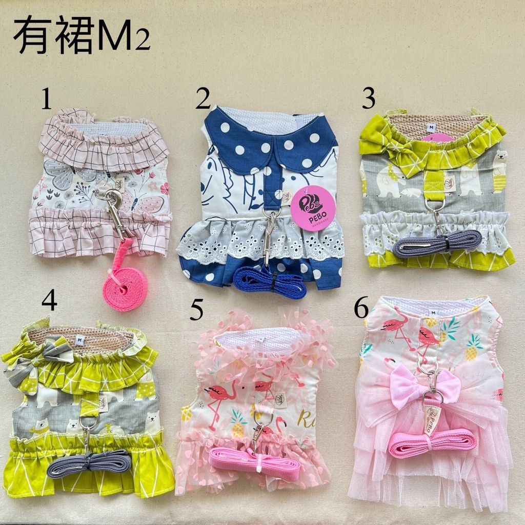 LINE_ALBUM_讀一讀二胸背_231113_22