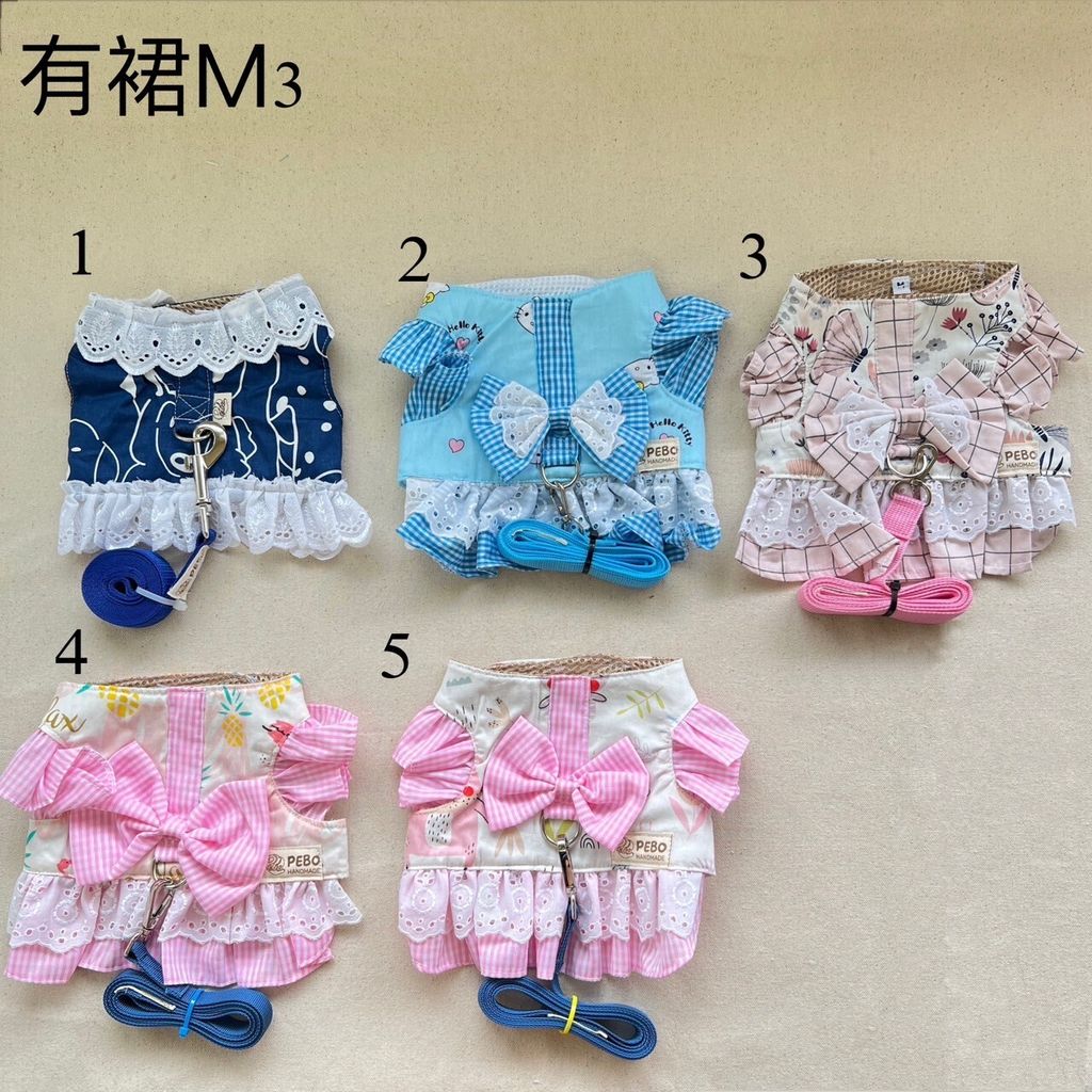 LINE_ALBUM_讀一讀二胸背_231113_21