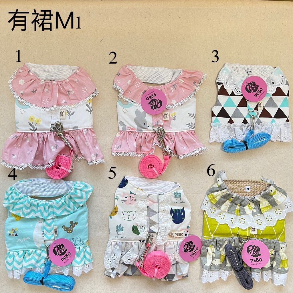 LINE_ALBUM_讀一讀二胸背_231113_23