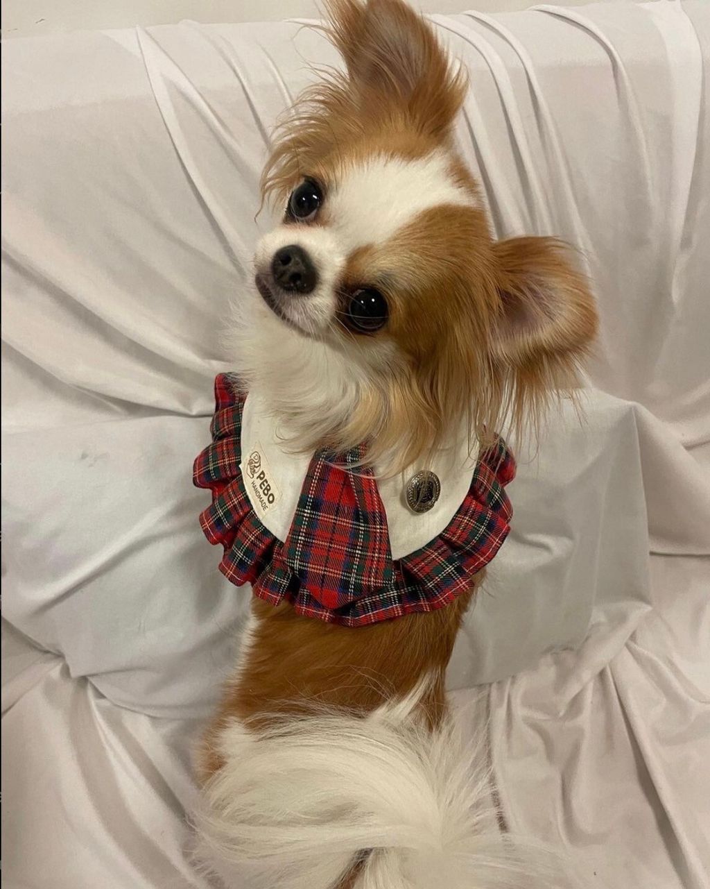 LINE_ALBUM_20231114_231114_7