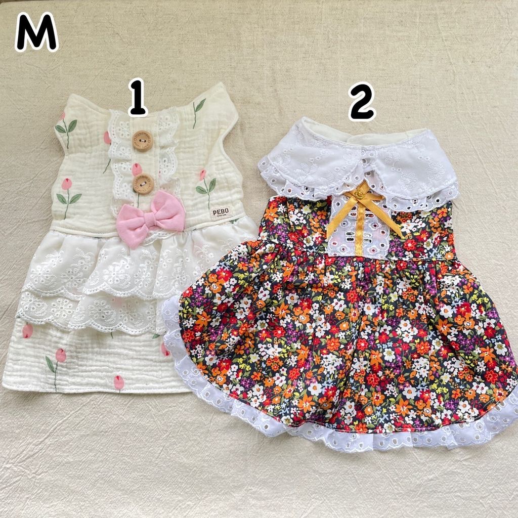 LINE_ALBUM_20231114_231114_5