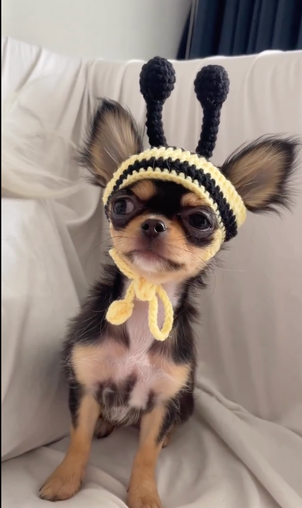 Screenshot 2023-11-13 at 22.45.18