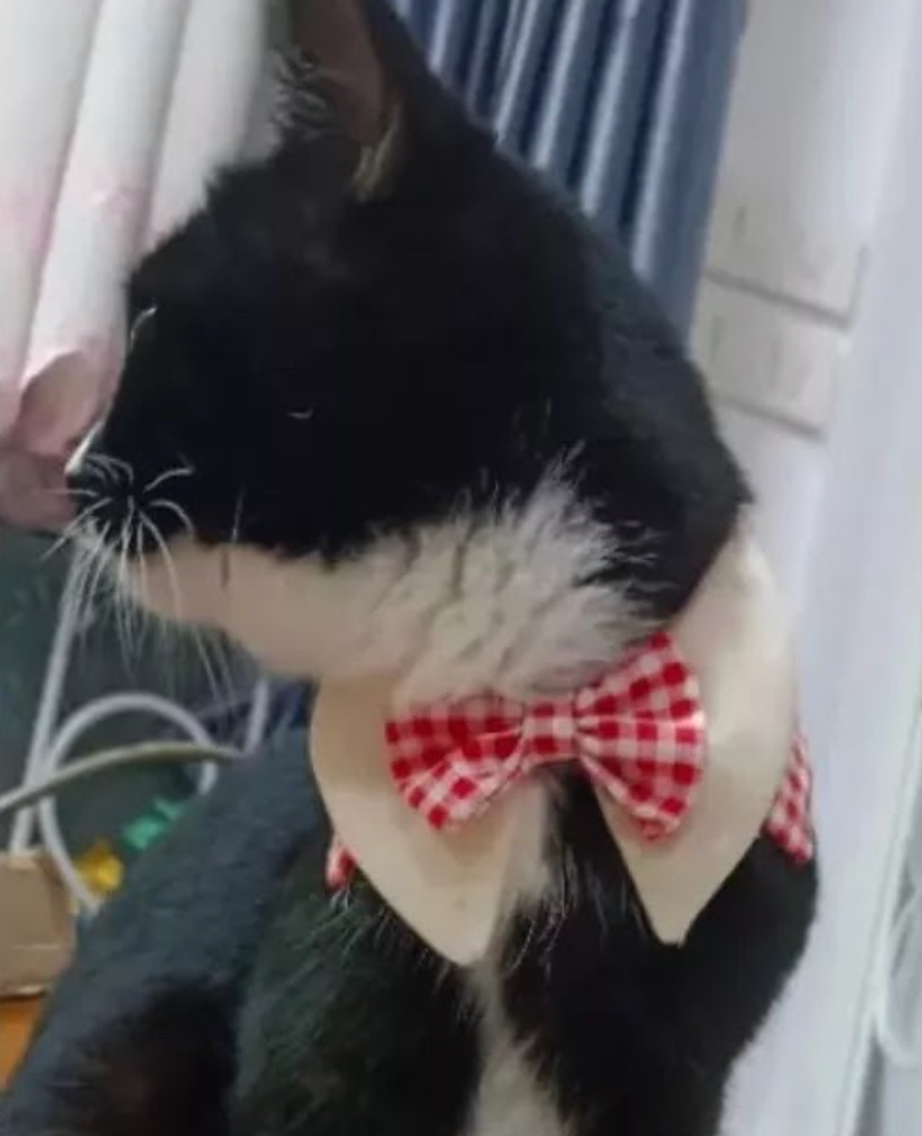 Screenshot 2023-11-13 at 22.36.26