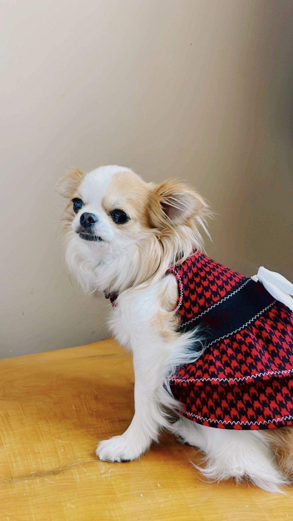 LINE_ALBUM_波利塔實際穿搭_240117_8