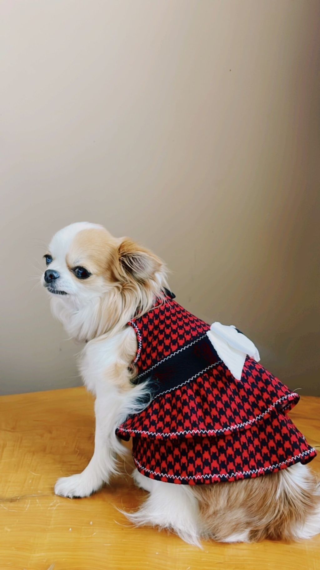 LINE_ALBUM_波利塔實際穿搭_240117_9