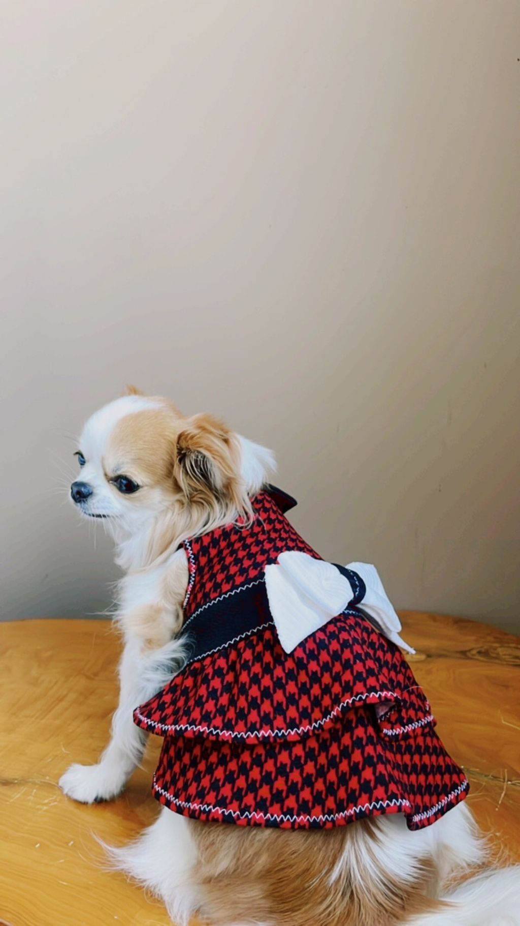 LINE_ALBUM_波利塔實際穿搭_240117_7