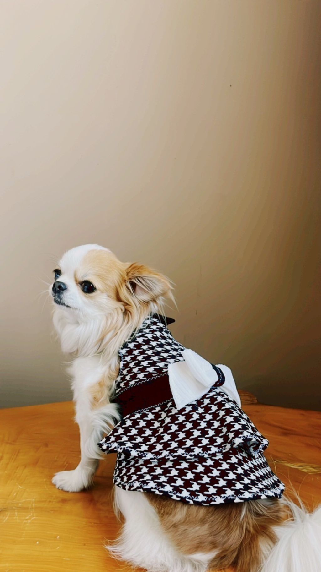 LINE_ALBUM_波利塔實際穿搭_240117_11