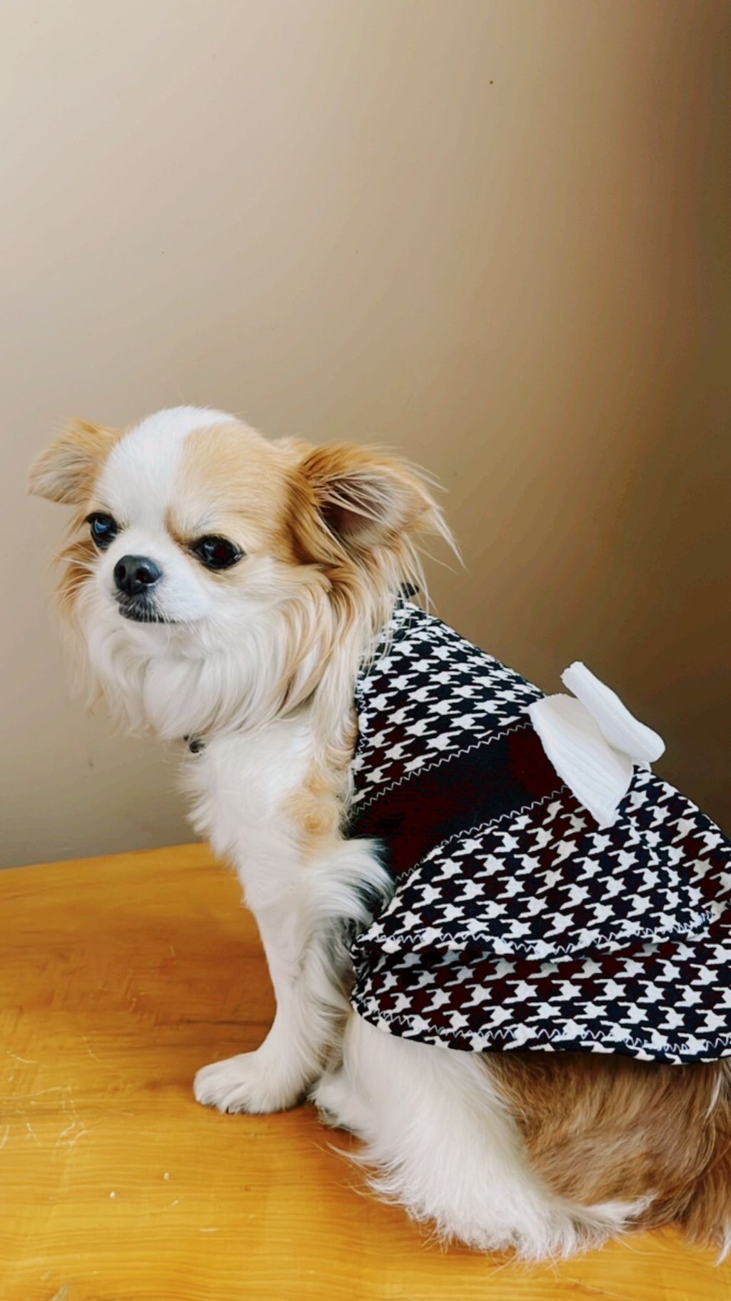 LINE_ALBUM_波利塔實際穿搭_240117_10