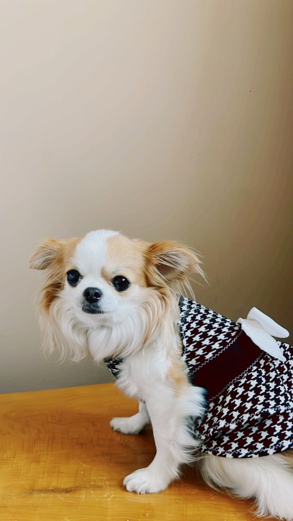 LINE_ALBUM_波利塔實際穿搭_240117_13