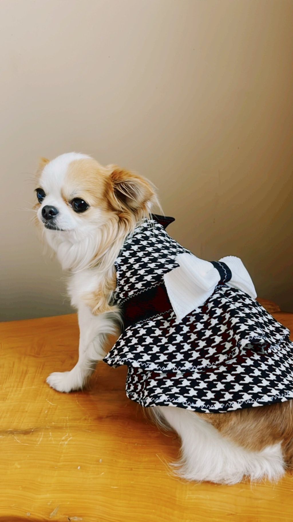 LINE_ALBUM_波利塔實際穿搭_240117_14