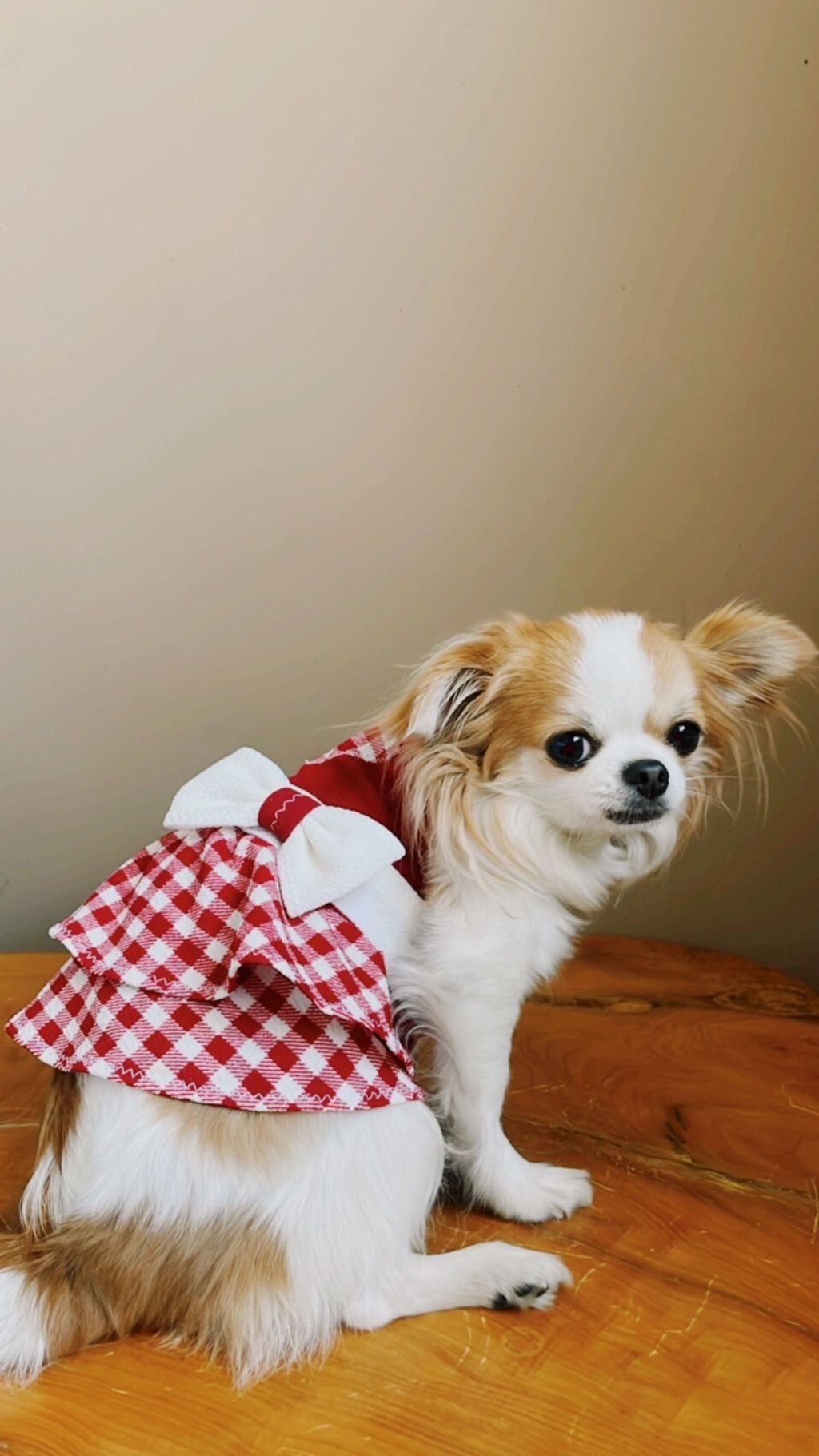 LINE_ALBUM_波利塔實際穿搭_240117_4