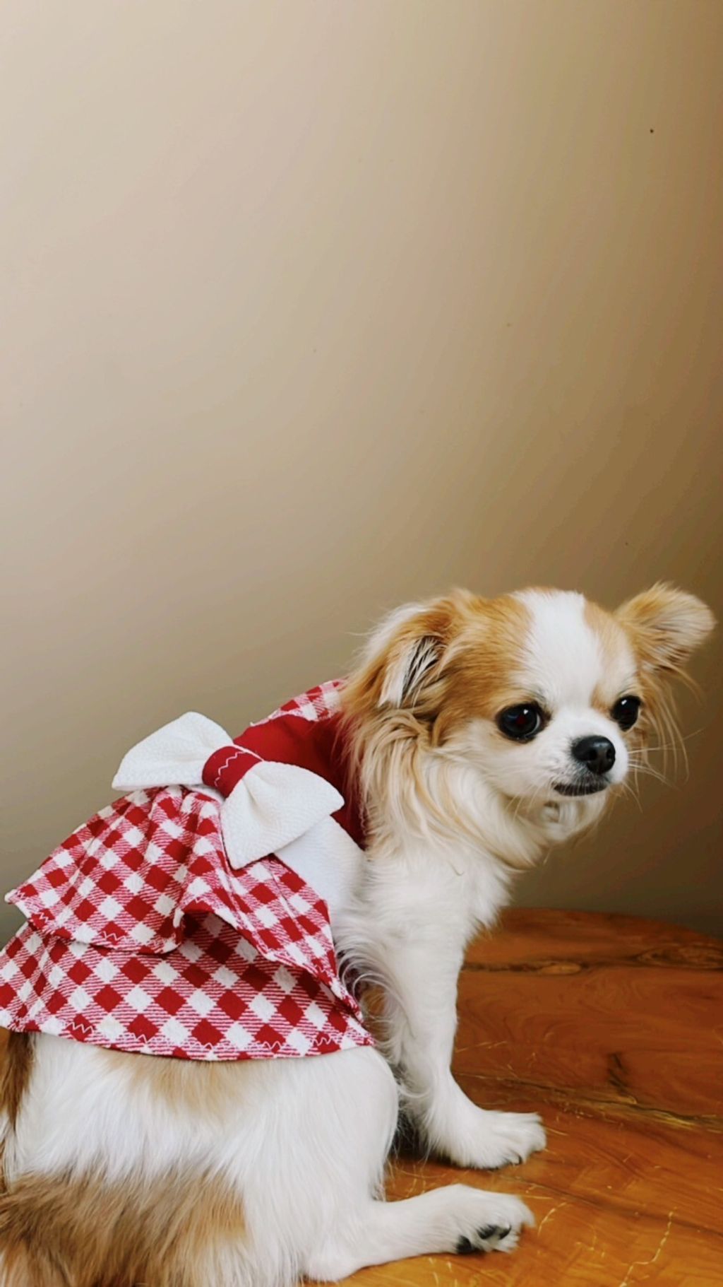 LINE_ALBUM_波利塔實際穿搭_240117_5