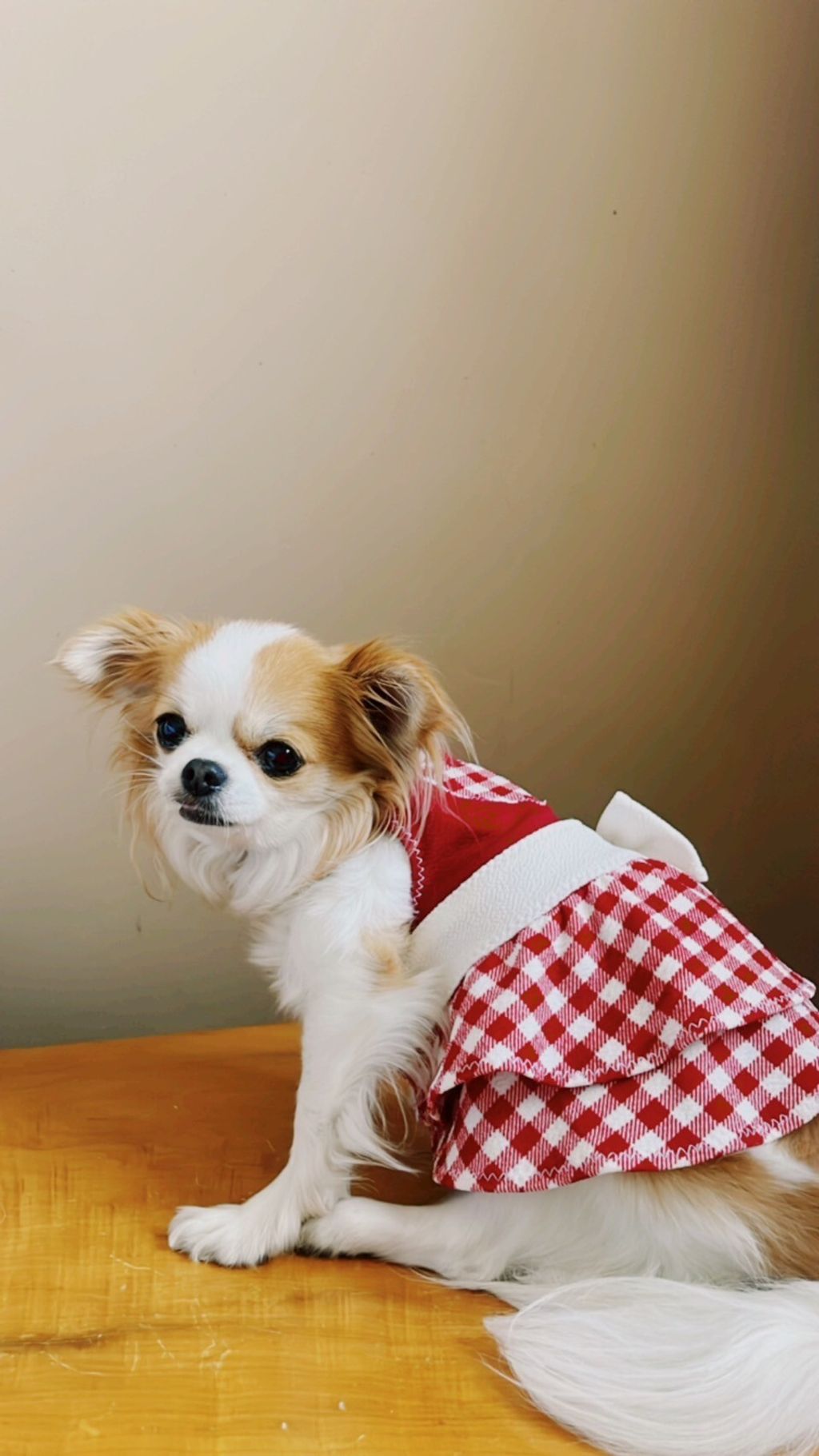 LINE_ALBUM_波利塔實際穿搭_240117_6