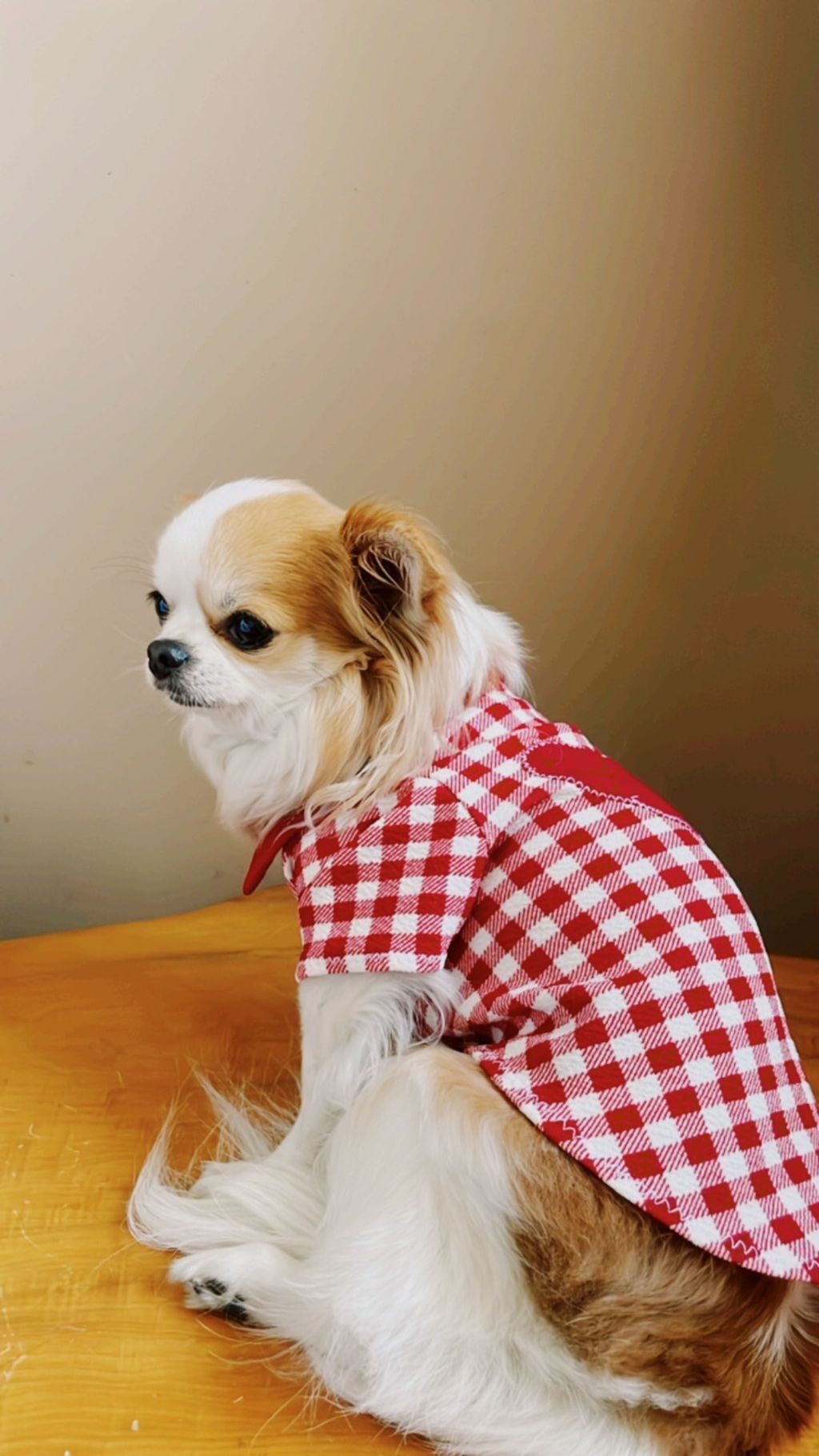 LINE_ALBUM_波利塔實際穿搭_240117_0