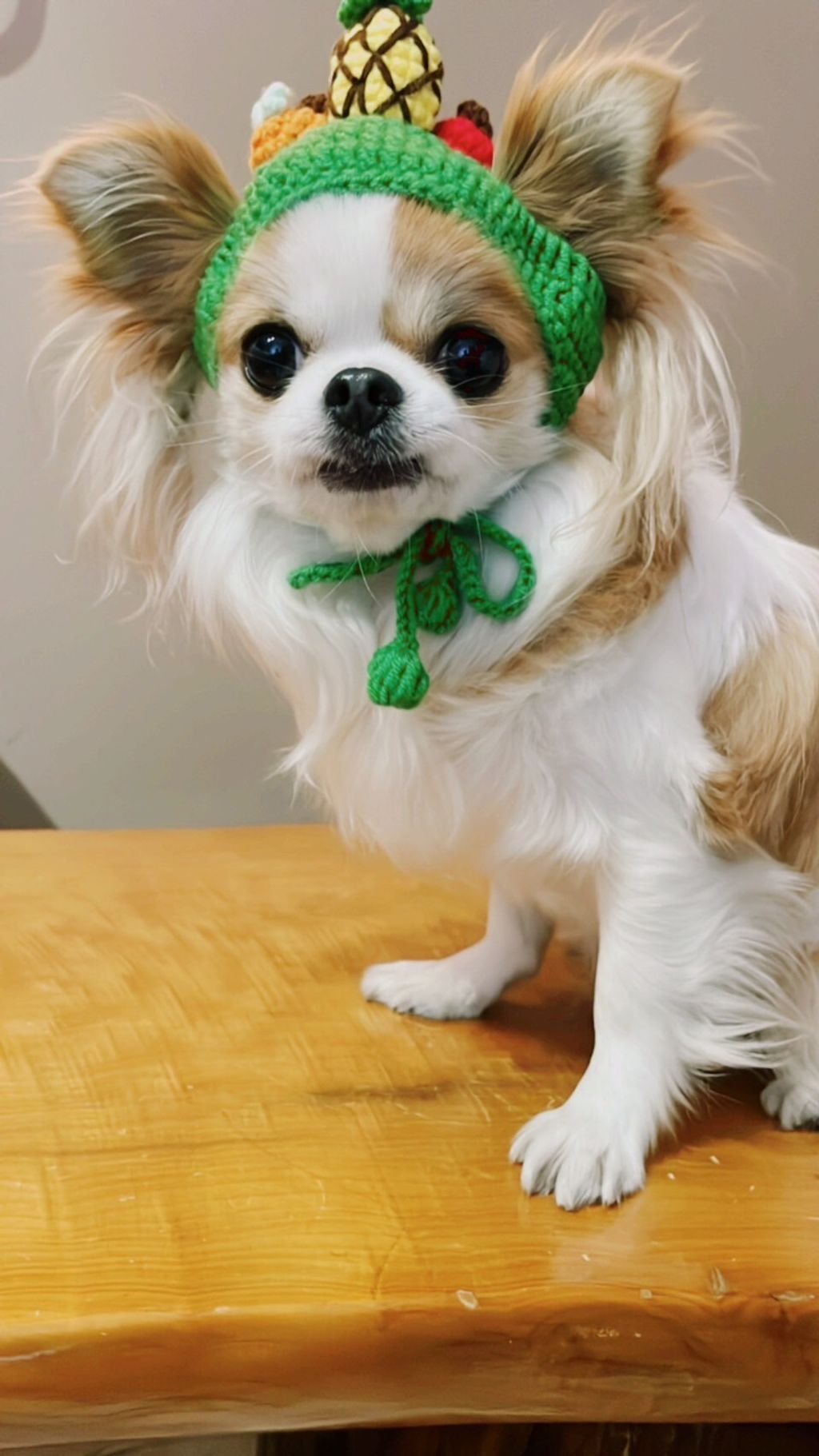 LINE_ALBUM_波利塔實際穿搭_240117_5