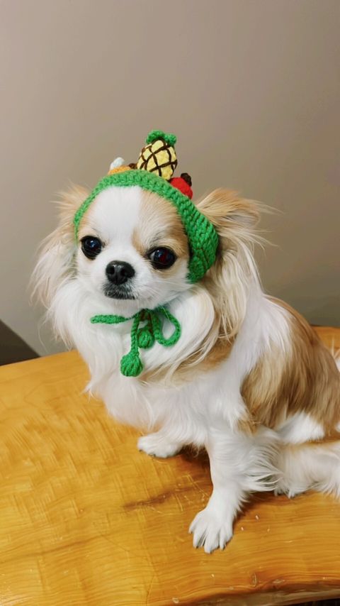 LINE_ALBUM_波利塔實際穿搭_240117_7