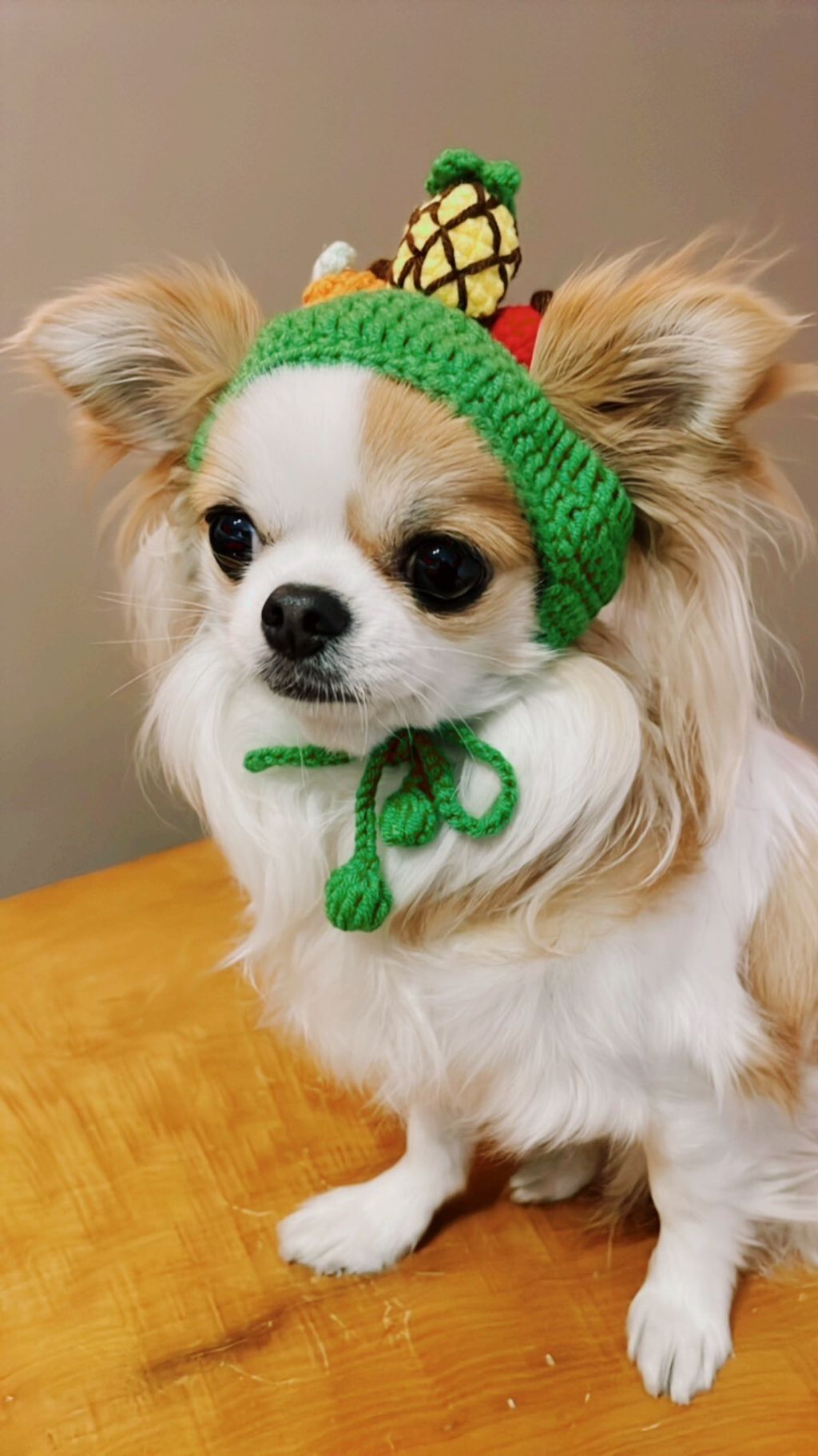 LINE_ALBUM_波利塔實際穿搭_240117_9