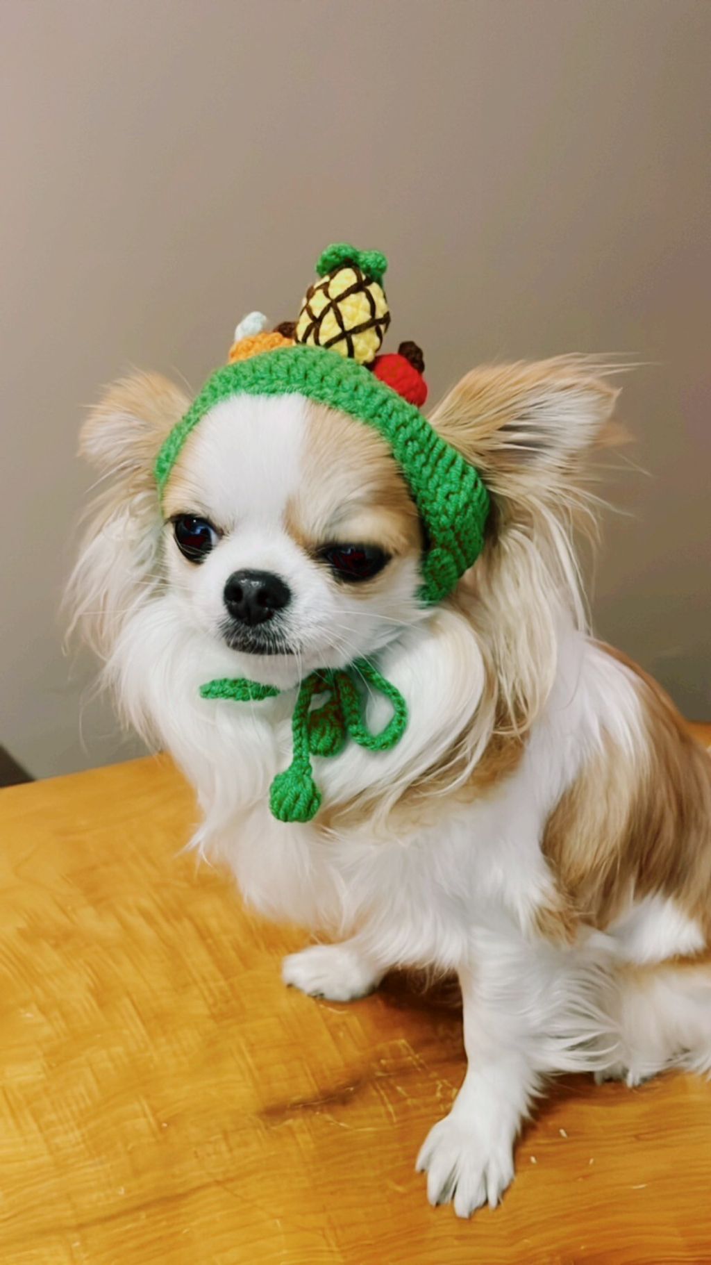 LINE_ALBUM_波利塔實際穿搭_240117_8