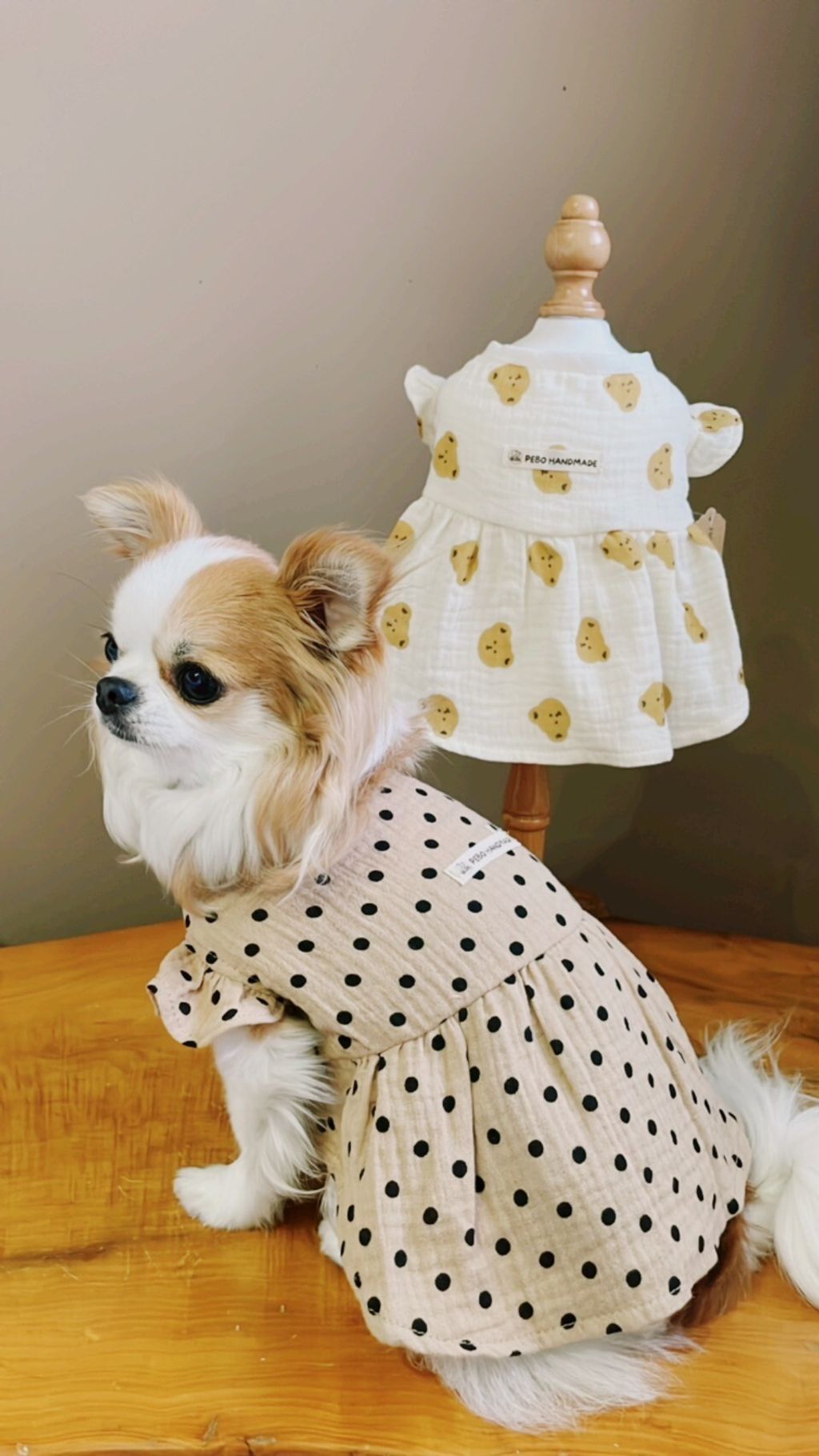 LINE_ALBUM_波利塔實際穿搭_240323_4