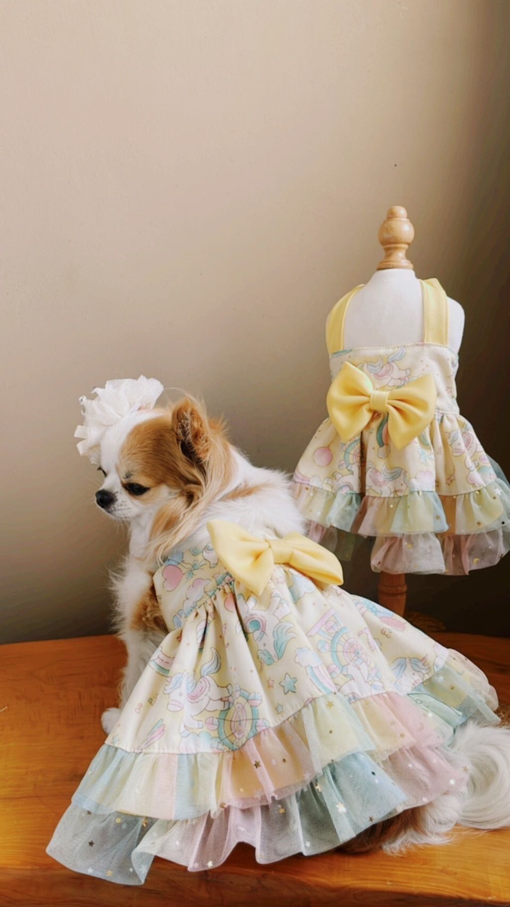 LINE_ALBUM_波利塔實際穿搭_240323_5