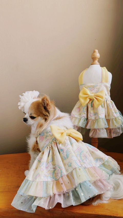 LINE_ALBUM_波利塔實際穿搭_240323_5