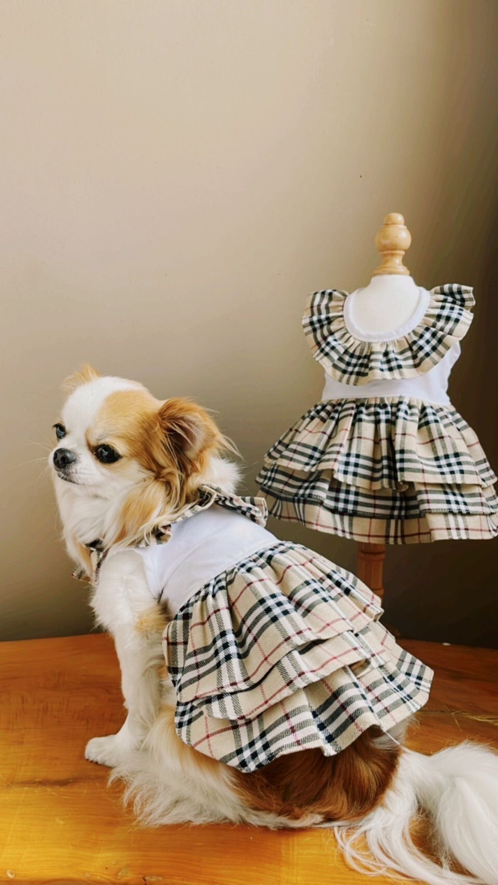 LINE_ALBUM_波利塔實際穿搭_240323_7