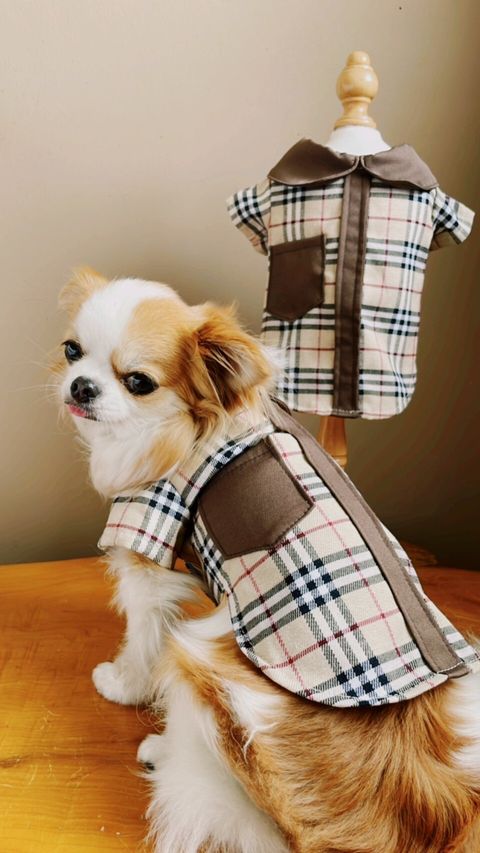 LINE_ALBUM_波利塔實際穿搭_240323_19