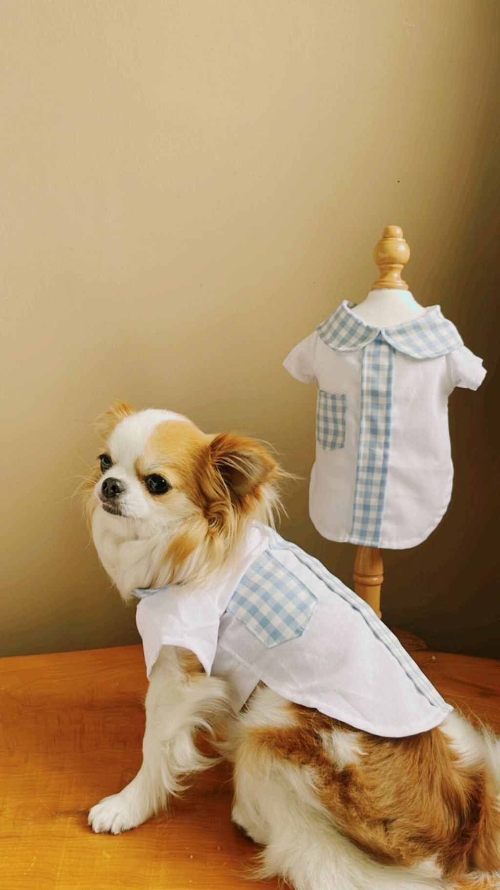 LINE_ALBUM_波利塔實際穿搭_240323_1