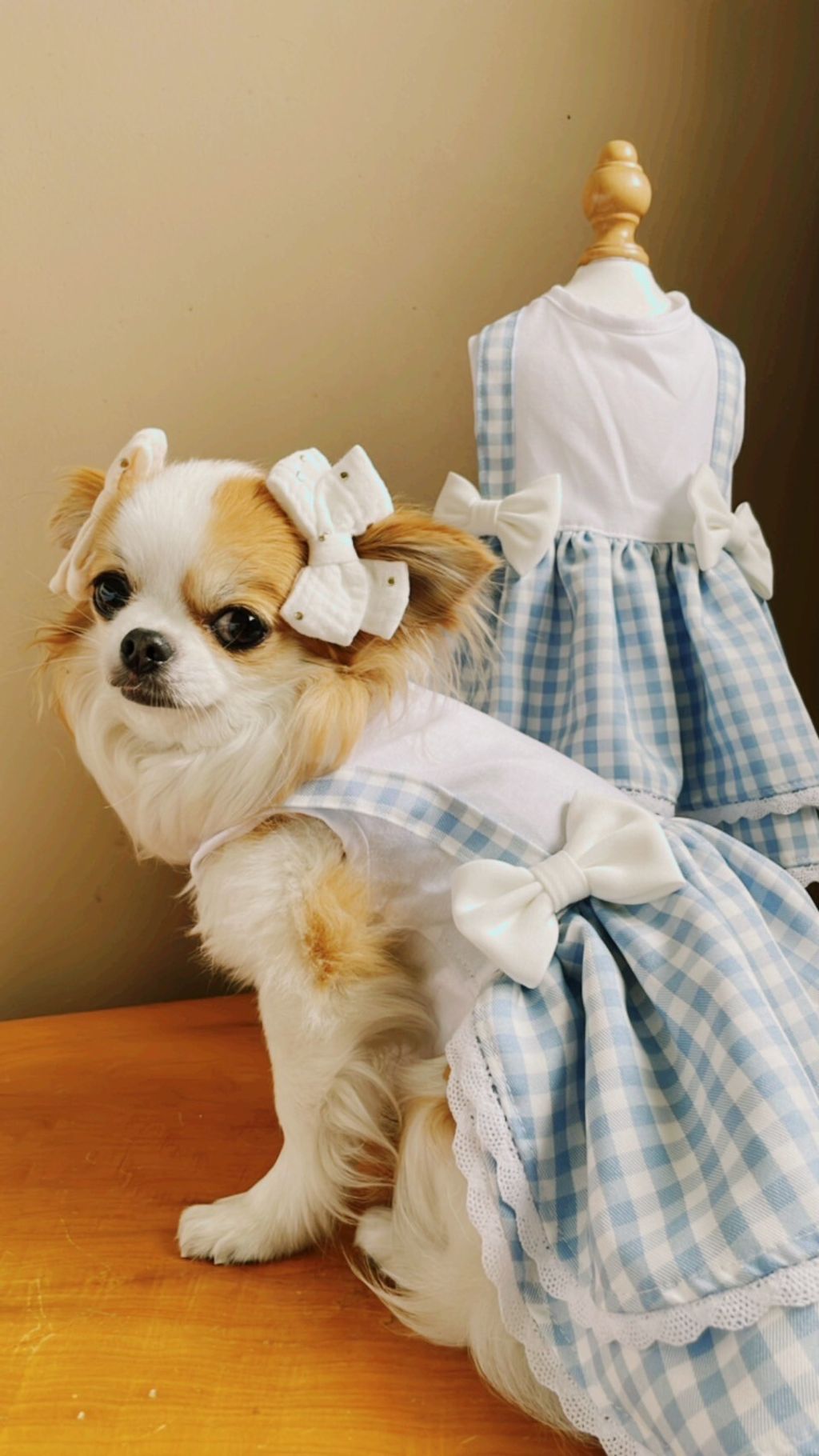 LINE_ALBUM_波利塔實際穿搭_240323_0