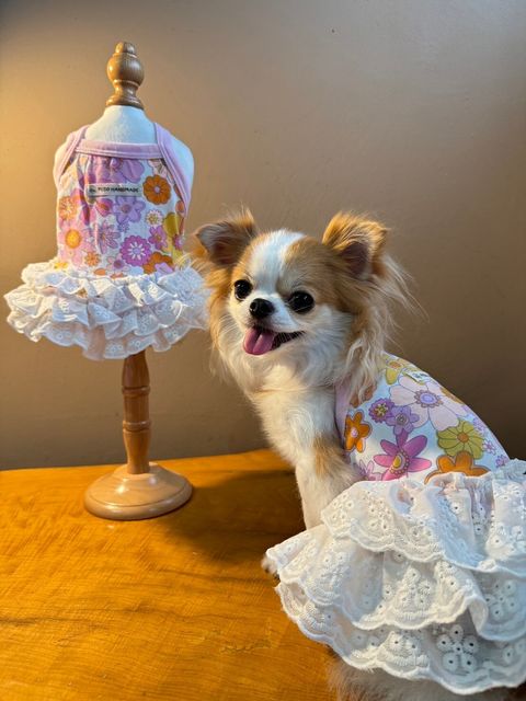 LINE_ALBUM_紗布寶寶衣_240617_50