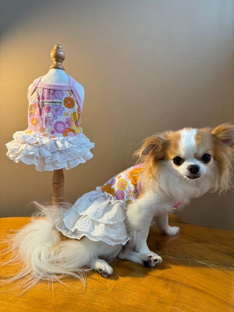 LINE_ALBUM_紗布寶寶衣_240617_51