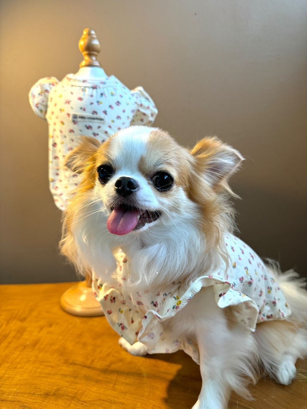 LINE_ALBUM_紗布寶寶衣_240617_1