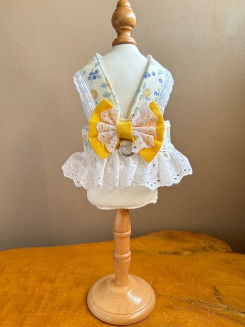 LINE_ALBUM_胸背_240617_5