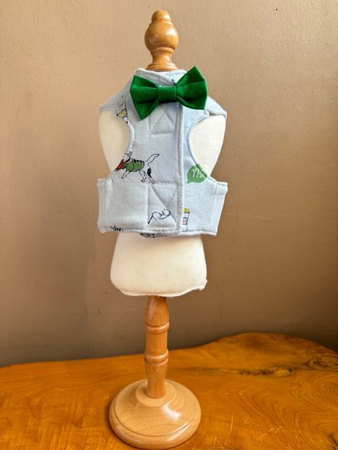 LINE_ALBUM_胸背_240617_1