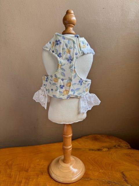 LINE_ALBUM_胸背_240617_2