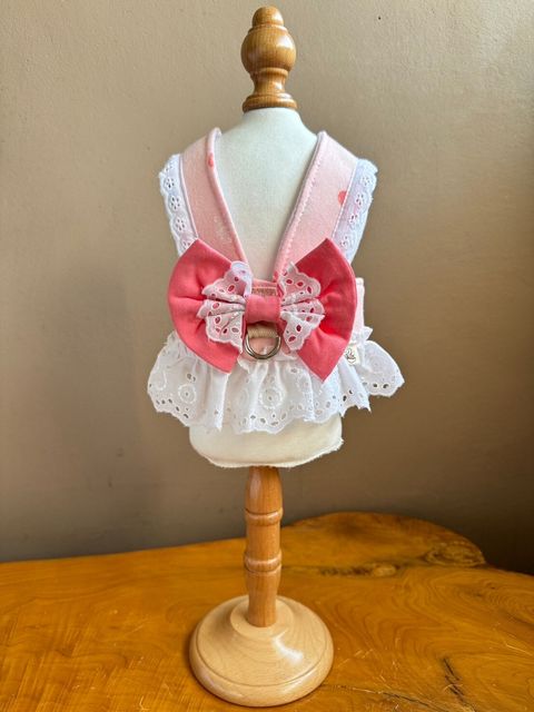 LINE_ALBUM_胸背_240617_8