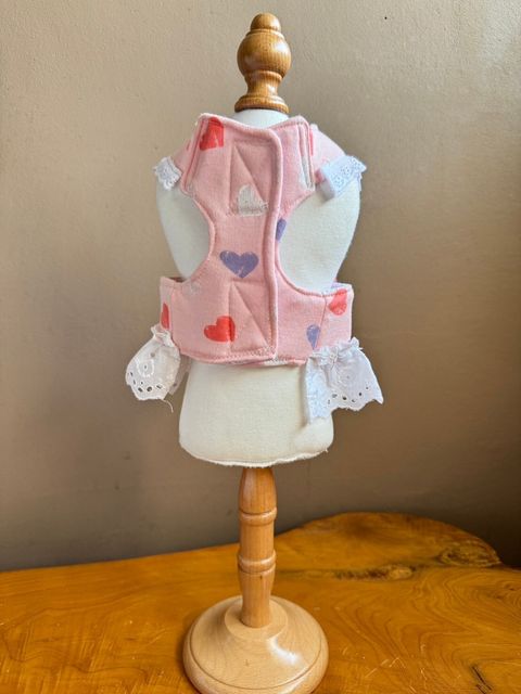 LINE_ALBUM_胸背_240617_9