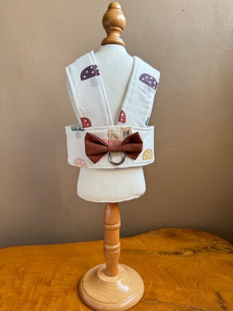 LINE_ALBUM_胸背_240617_17