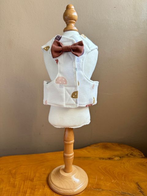 LINE_ALBUM_胸背_240617_16