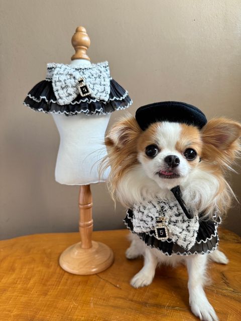 LINE_ALBUM_小香領巾_240627_16