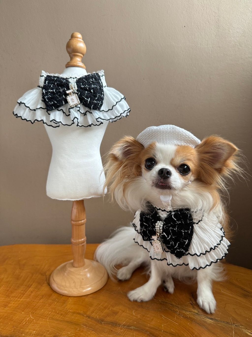 LINE_ALBUM_小香領巾_240627_21