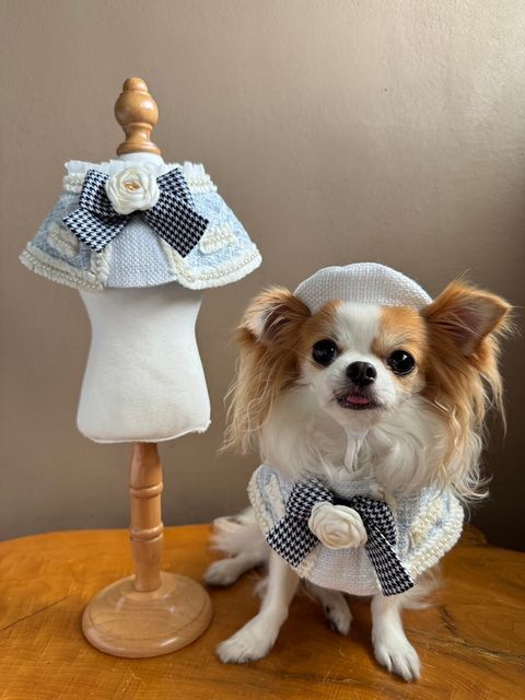 LINE_ALBUM_小香領巾_240627_25