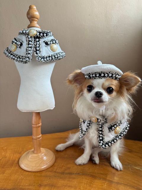 LINE_ALBUM_小香領巾_240627_27